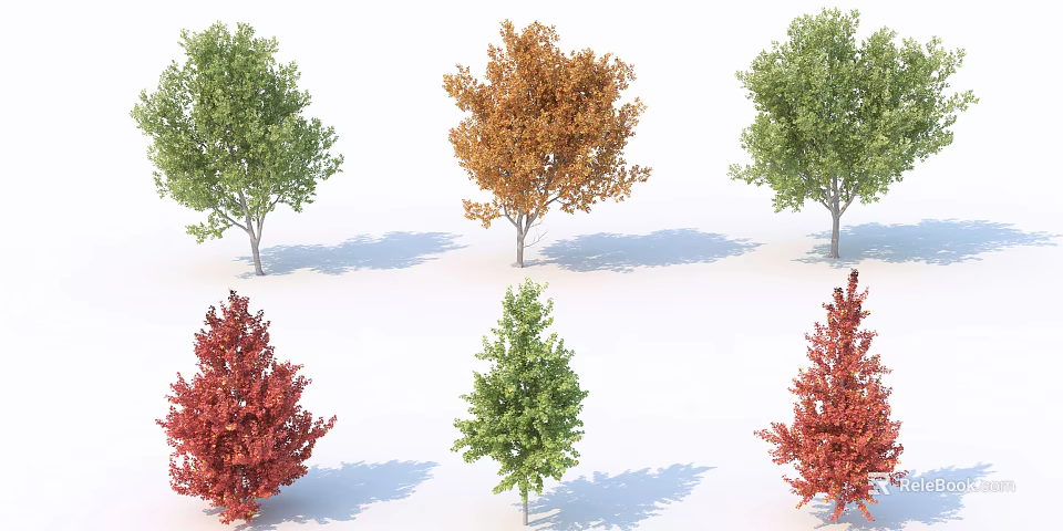 Arbor Trees Displaying Various Colored Foliage In Different Seasonal Shapes 3d model