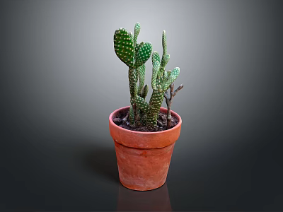 Green Cactus Plant in Terracotta Pot with Healthy Pads and Soil 3d model