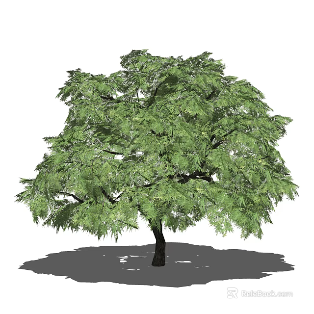 Lush Arbor With Green Foliage And Dark Trunk In Natural Setting 3d model 