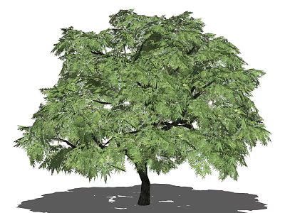 Lush Arbor With Green Foliage And Dark Trunk In Natural Setting 3d model