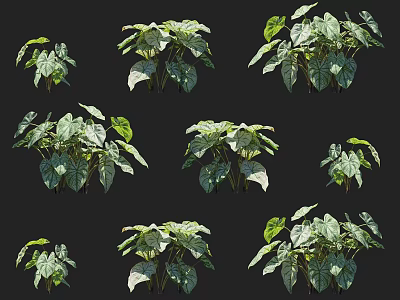 Modern plants and flowers 3d model