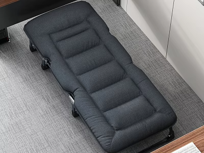 Gray Padded Folding Bed for Office And Home Indoor Use 3d model