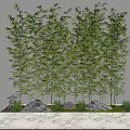 Potted Bamboo Plants In White Rectangular Pot With Stones And Grass Against Light Wall