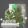 Window Display Design With Green Plants White Spheres Geometric Structures And Collaboration Theme 3d model