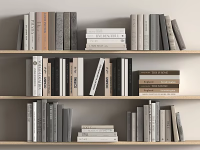 Books and Magazines Collection on Wooden Shelves with Stacked Arrangement 3d model