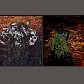 Vibrant Wall Art Paintings Featuring White Flowers And Abstract Figure With Colorful Backgrounds