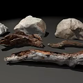 Natural Stone And Wood Materials Showcasing Varied Shapes And Textures