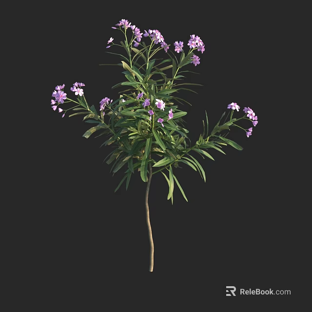 Healthy Green Leafy Shrub With Purple Small Flowers And Brown Stems 3d model 