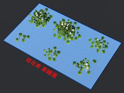 Fragrant Water Lily Pond View With Green Foliage White Flowers And Blue Water Surface 3d model