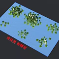 Fragrant Water Lily Pond View With Green Foliage White Flowers And Blue Water Surface