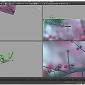 Beautiful Tree With Pink Flower Buds On Delicate Branches In Spring 3d model
