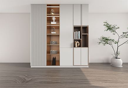 Modern Bookcase Decorative Cabinet 3d model