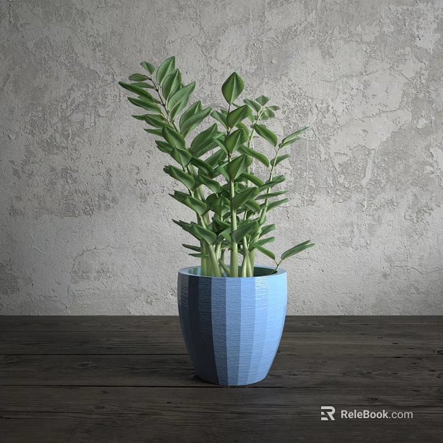 Bonsai Potted Plant With Blue Textured Pot Green Leaves On Wooden Table Gray Wall Background 3d model 