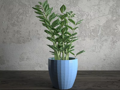 Bonsai Potted Plant With Blue Textured Pot Green Leaves On Wooden Table Gray Wall Background 3d model