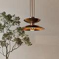 Minimalist Two Tier Disc Brass Chandelier Hanging With Green Indoor Tree And Neutral Wall