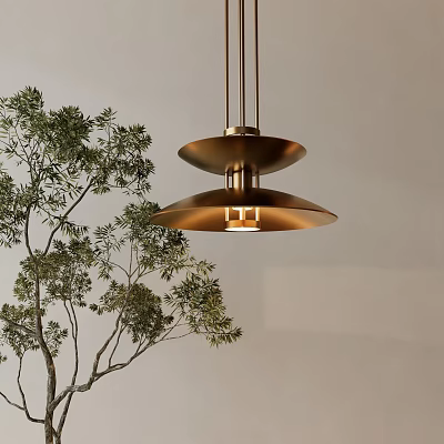 Minimalist Two Tier Disc Brass Chandelier Hanging With Green Indoor Tree And Neutral Wall 3d model