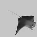 White Manta Ray With Black Spots Swimming In Deep Blue Ocean