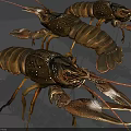 Three Realistic Freshwater Lobsters Featuring Brown Shell Long Antennas And Sharp Claws