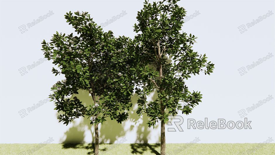 modern tree magnolia model