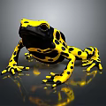 Yellow And Black Spotted Frog Character As 3D Model With Reflective Surface 3d model