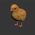 Modern Chick Chicken Cartoon Chick Cock 3d model