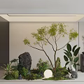 Miniature Garden With Tree Rocks Green Plants Round Moon Light And Moss In Glass Case