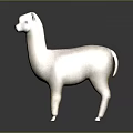 Light Colored Alpaca Standing Gracefully On Gray Background With Reflection 3d model