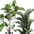 Potted Bonsai Plants With Various Green Foliage In Metal Planters And Stands