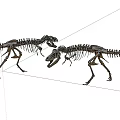 Modern Dinosaur Skeleton 3d model