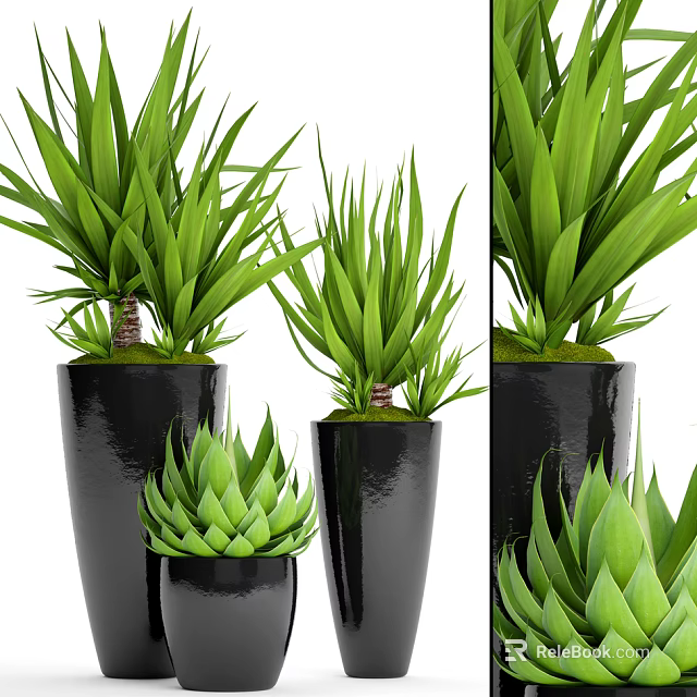 Bonsai Potted Plants With Green Leaves In Black Pots For Indoor Decoration 3d model 
