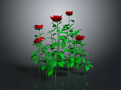 Blooming Red Roses With Green Stems And Leaves On Gray Background 3d model