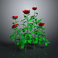 Blooming Red Roses With Green Stems And Leaves On Gray Background