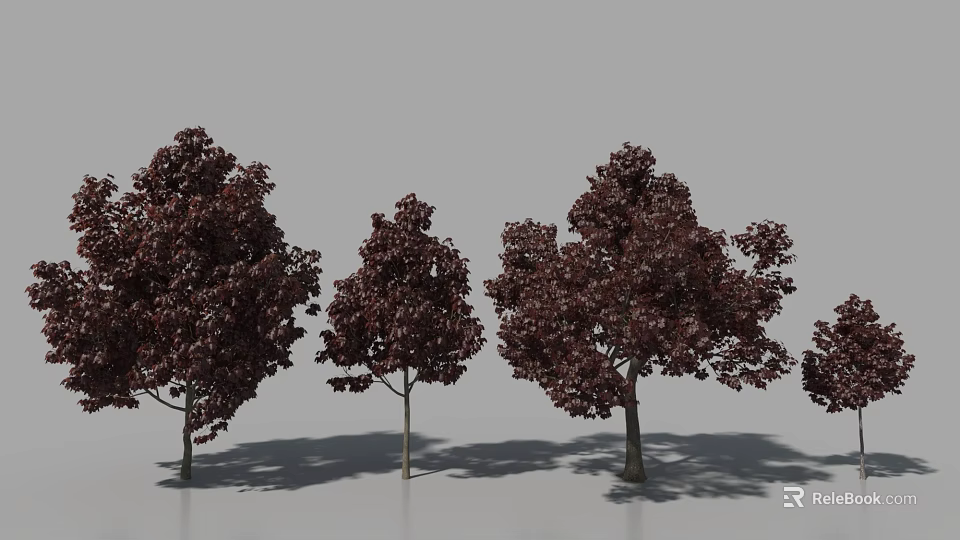 Arbor Trees With Dark Red Foliage Various Sizes And Shadows On Gray Background 3d model 