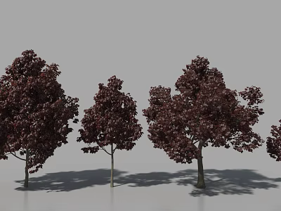 Arbor Trees With Dark Red Foliage Various Sizes And Shadows On Gray Background 3d model