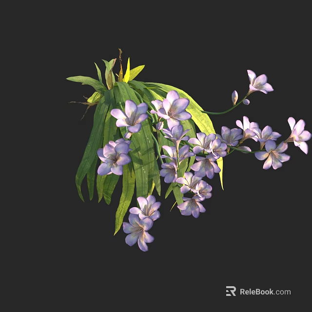 Vibrant Purple Flowers With Long Green Leaves And Fresh Blooming Stems 3d model 