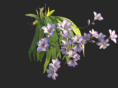 Vibrant Purple Flowers With Long Green Leaves And Fresh Blooming Stems 3d model