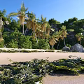Scenic Coastal Landscape With Blue Sky Green Vegetation Palm Trees Rocks And Sandy Beach