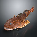 Detailed Brown Spotted Grouper Fish With Blue Eyes And Textured Skin