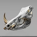 Animal Skull Display With Curved Horns And Detailed Skeletal Structure On Dark Background