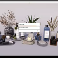 Stylish Bathroom Accessories With Lotion Bottles Diffusers Towels And Decorative Plants 3d model