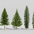Green Arbor Trees In Various Forms Arranged With Different Heights And Crown Shapes
