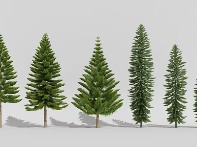 Green Arbor Trees In Various Forms Arranged With Different Heights And Crown Shapes 3d model
