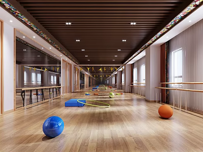 Spacious Bright Fitness Studio With Wooden Floor Ballet Barres And Colorful Exercise Balls 3d model