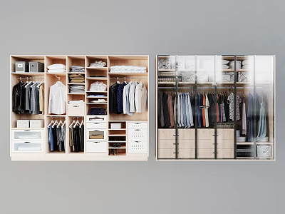 Modern Wardrobe Interior With Hanging Rods Shelves Drawers And Glass Doors 3d model