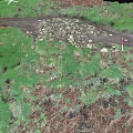 Green Hillside Scenery with Dirt Path Stones and Red Object Under Dark Sky