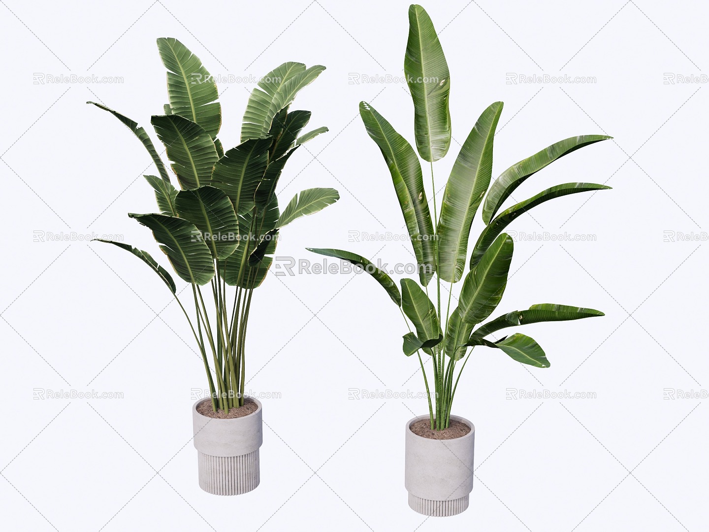 indoor potted plant 3d model