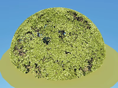 Modern Shrub Semi-circular Shrub Wood Carving 3d model Modern Shrub Semi-circular Shrub Wood Carving 3d model