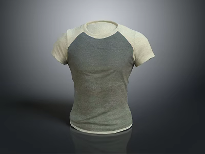 Casual Short Sleeve Raglan T Shirt With Gradient Color Design For Everyday Wear 3d model