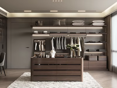 Modern Walk in Closet Interior With Storage Drawers And Decorations 3d model