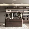 Modern Walk in Closet Interior With Storage Drawers And Decorations